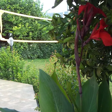 G.giuliano * Floridia