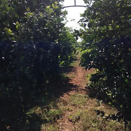 Villa G.giuliano Floridia